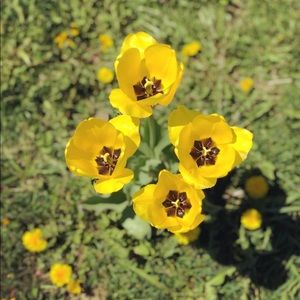 Meet your Posher, Courtney